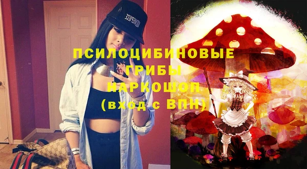 винт Баксан