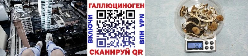 Галлюциногенные грибы ЛСД  Весьегонск 